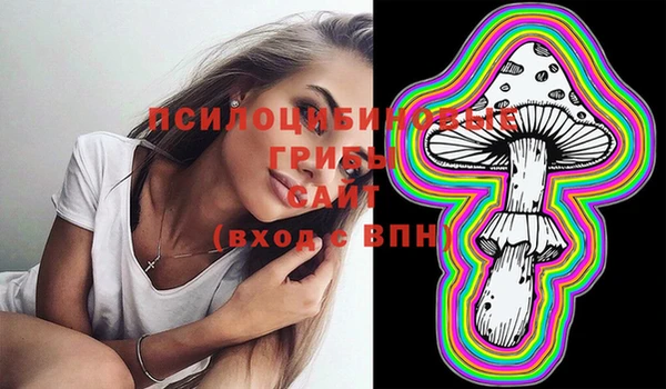 дмт Пестово