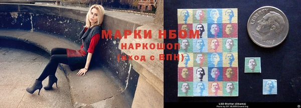 дмт Пестово