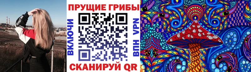 хочу   Новотроицк  Галлюциногенные грибы мицелий 