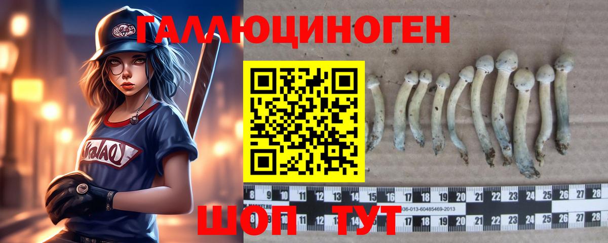 Псилоцибиновые грибы мухоморы Новотроицк