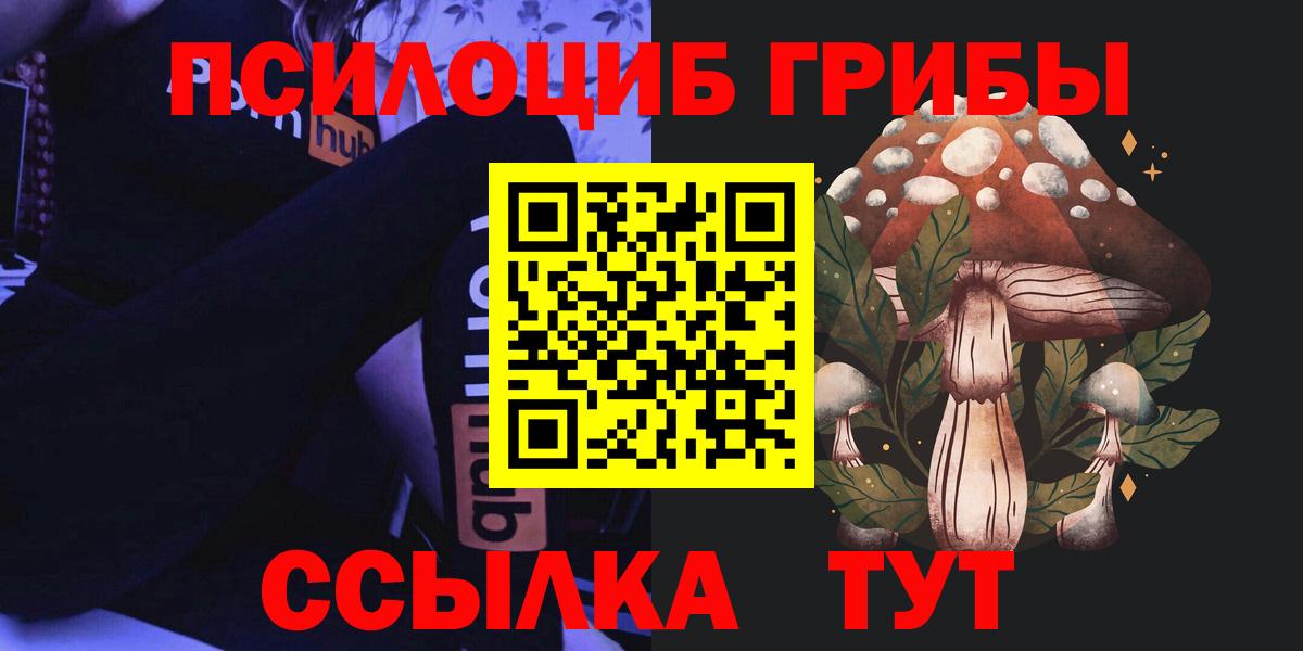 Псилоцибиновые грибы мицелий  Галлюциногенные грибы Psilocybe  Вход с VPN  Новотроицк 
